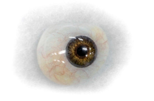 Acrylic & Ocular Coloration